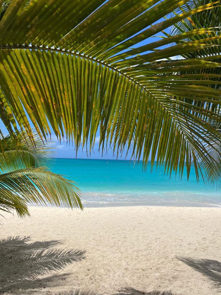 Plage de Sint Maarten près de Dolce Beach Résidence